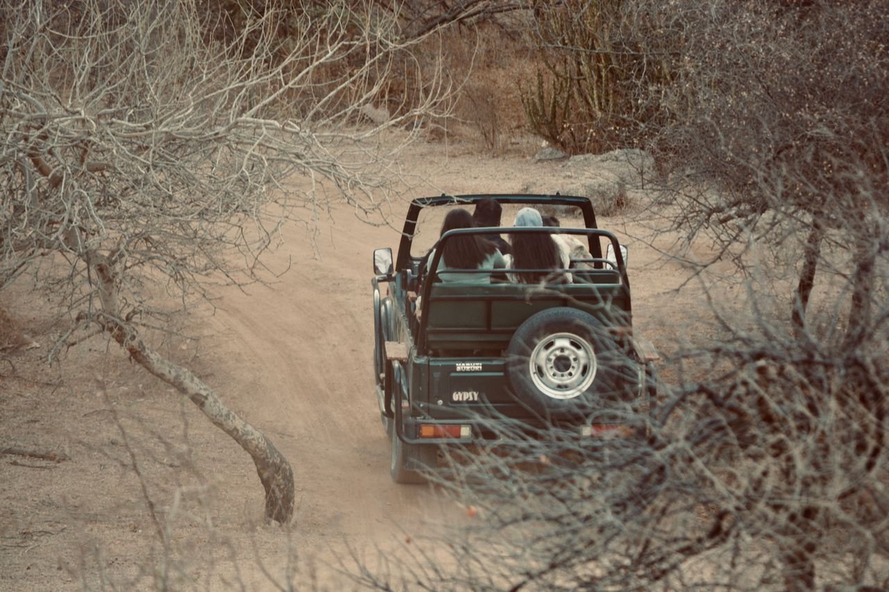 Visitors travelling in open safari gypsies along a tree-lined trail in Jhalana Leopard Reserve, Jaipur