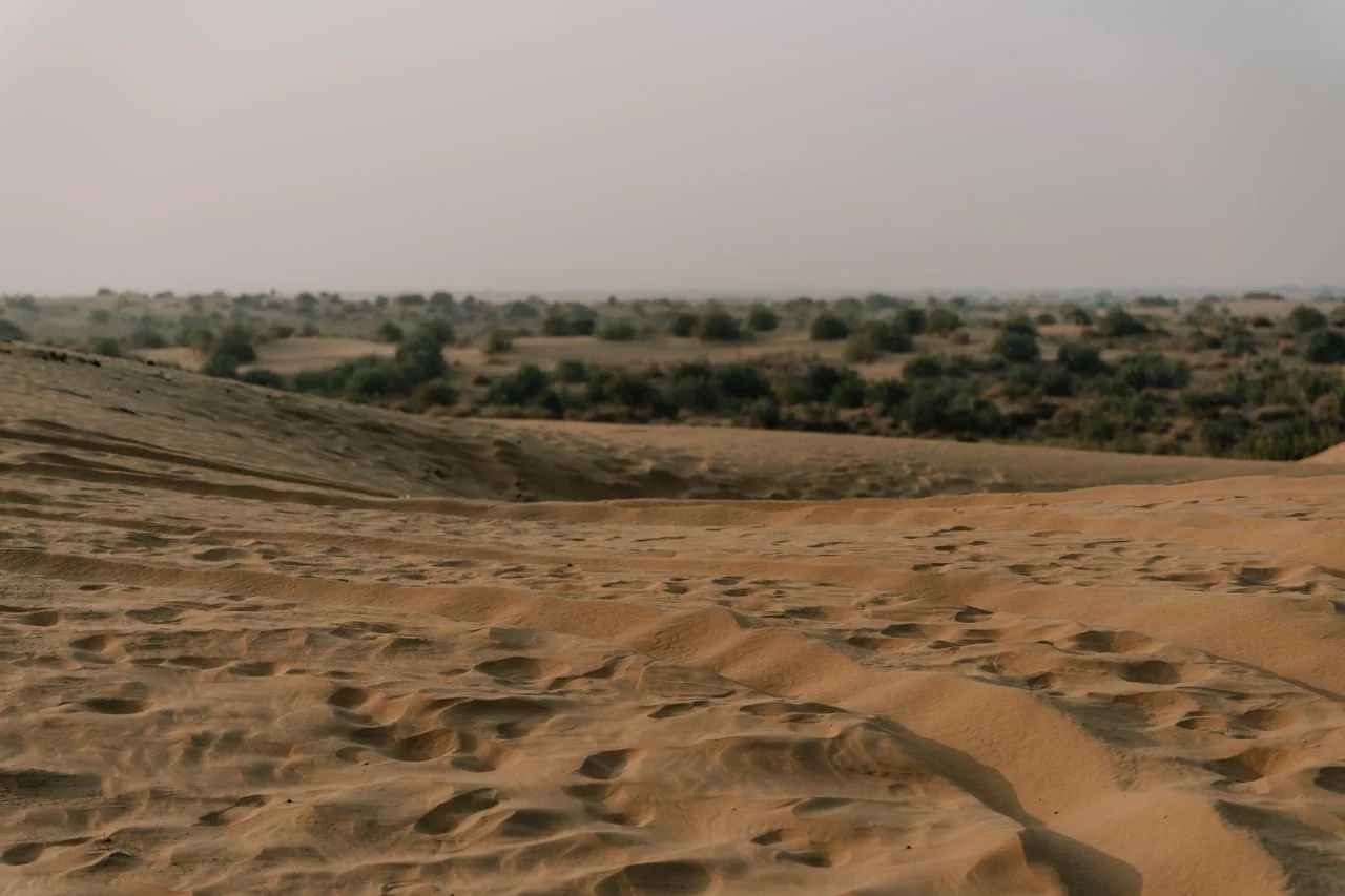 Sandy dunes with footprints and scattered desert vegetation