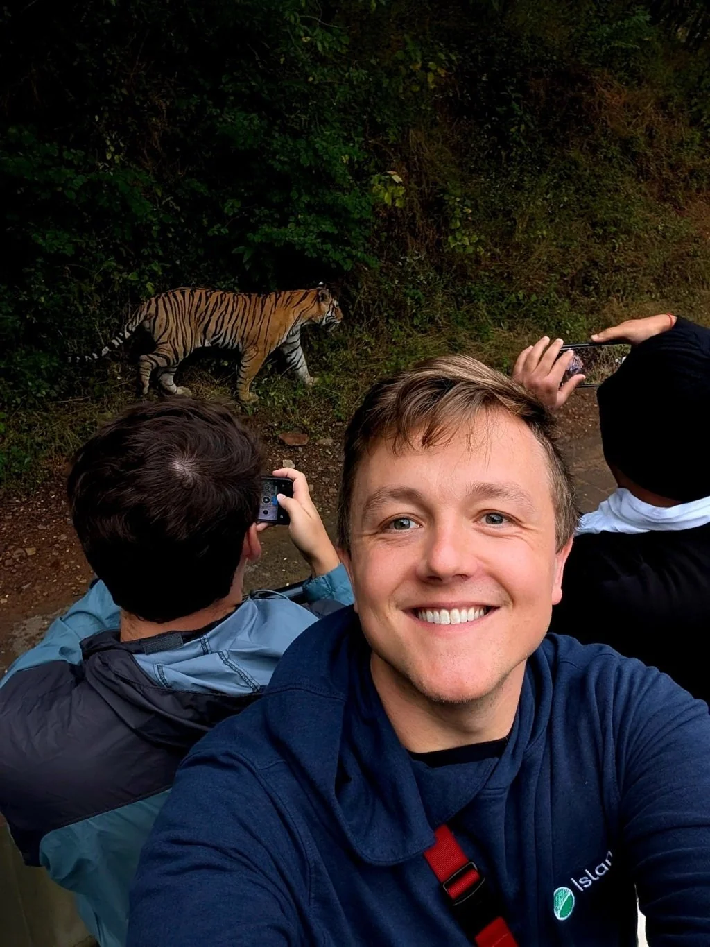 Visitor taking a selfie during a safari with a tiger visible behind