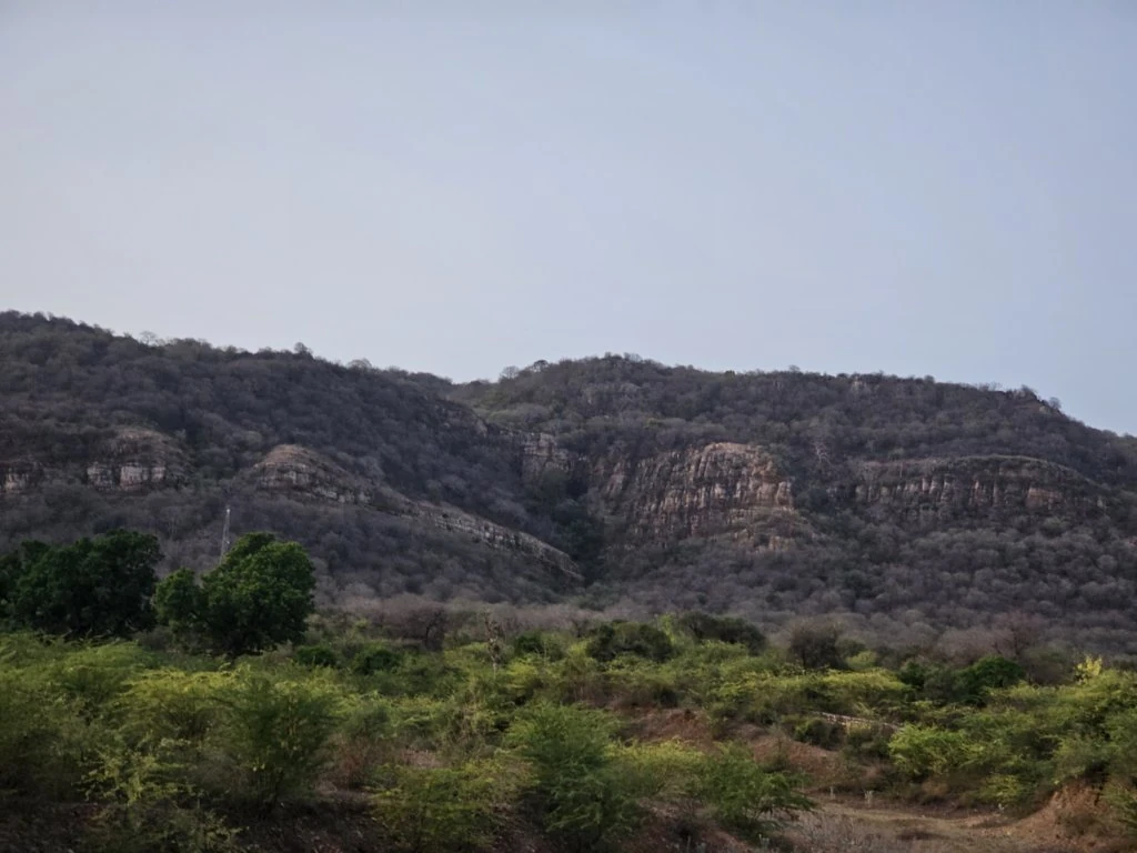Rocky hills rising above green scrubland