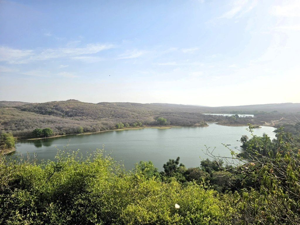 Lake surrounded by wooded hills with green treetops in the foreground