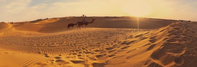 Jaisalmer Private Desert Safari with Camel & Jeep Safari, Dinner & Stargazing