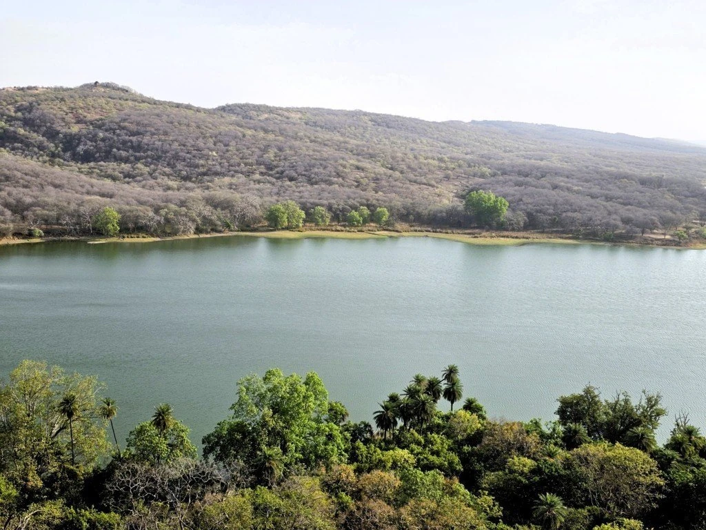 Lake stretching between low hills with leafy treetops in the foreground