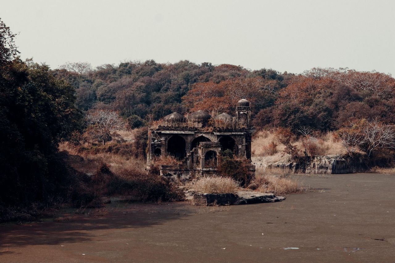 Ranthambore Fort walls rising above wooded hills