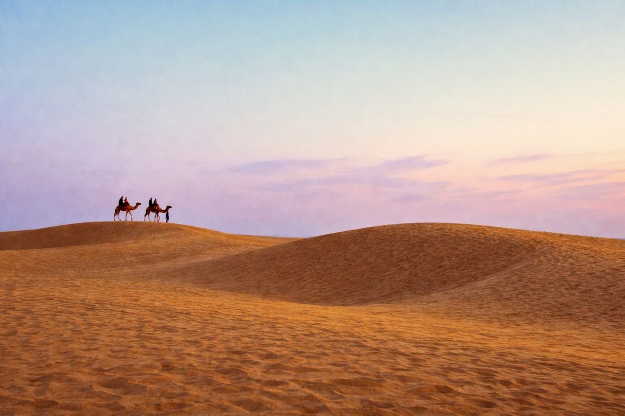 Two camels carrying riders along a golden dune beneath a pastel evening sky