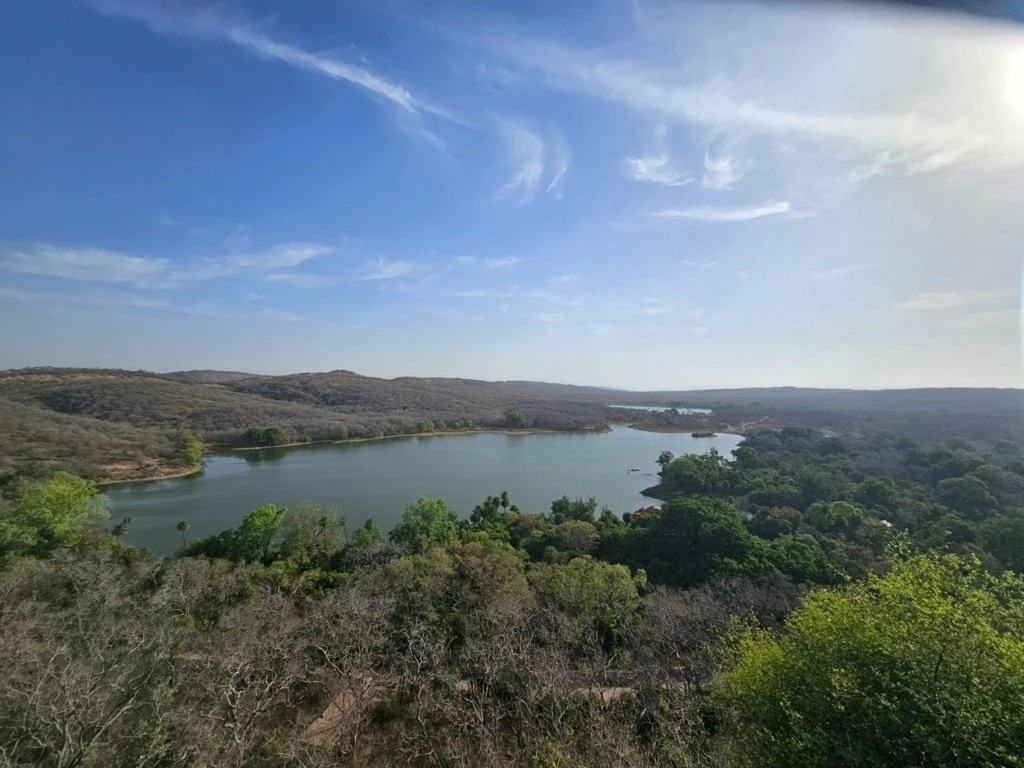 Lake bordered by green trees beneath wooded hills