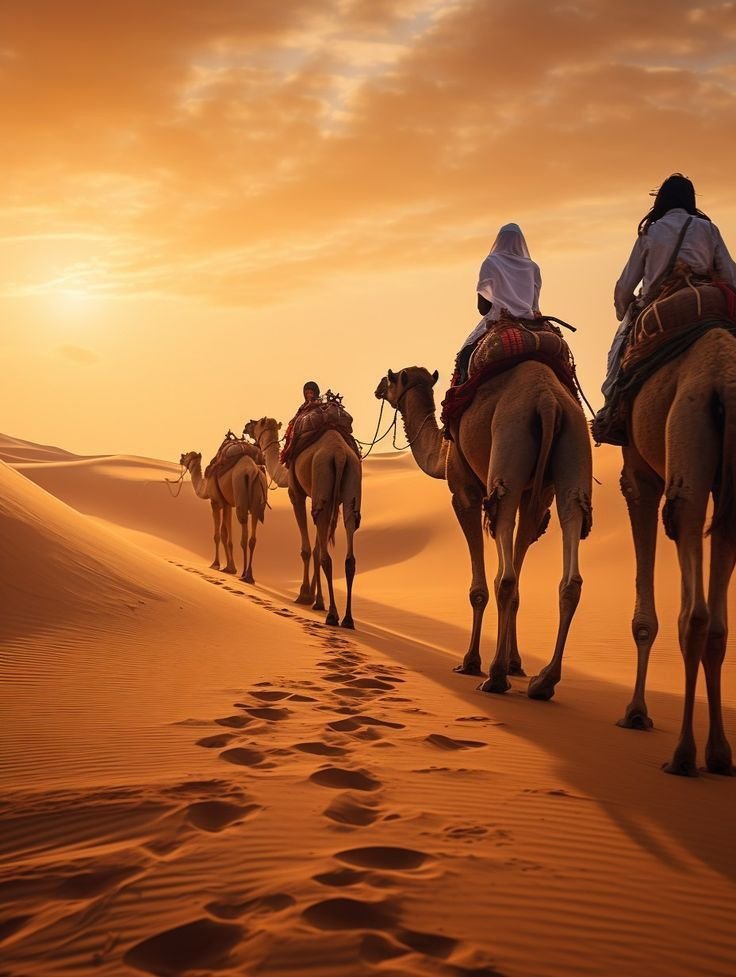 Jaisalmer: Desert Safari with Camel Ride, Sunset & Camp Dinner Experience